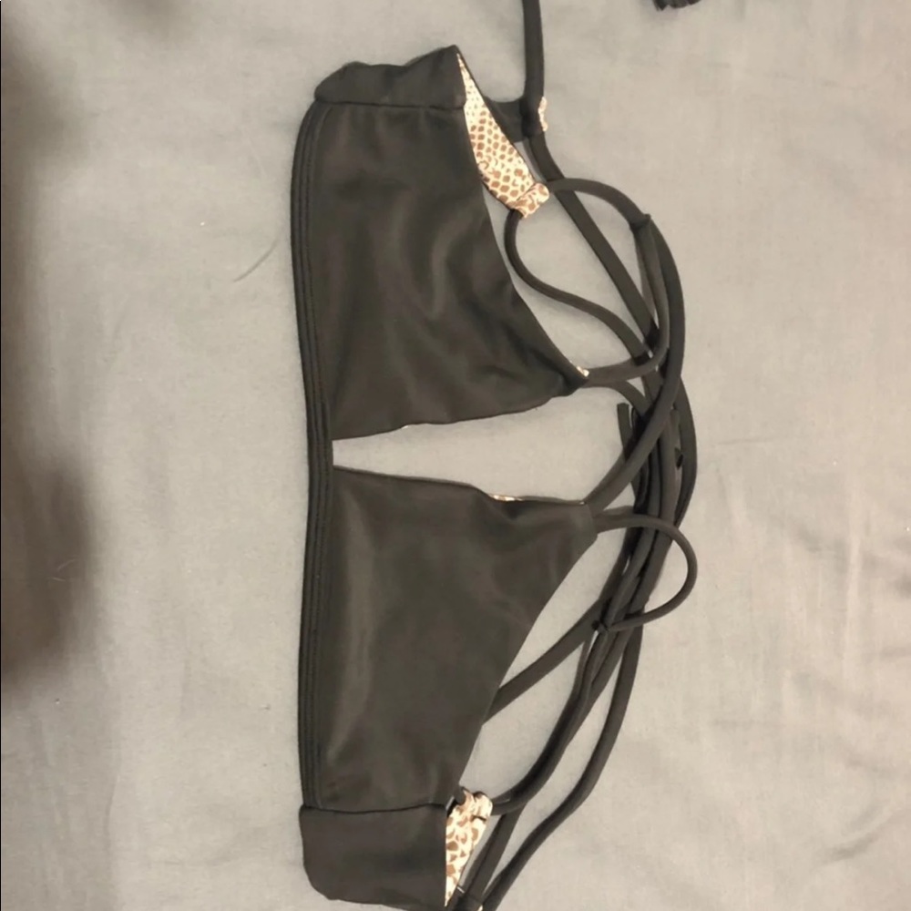 Acacia top